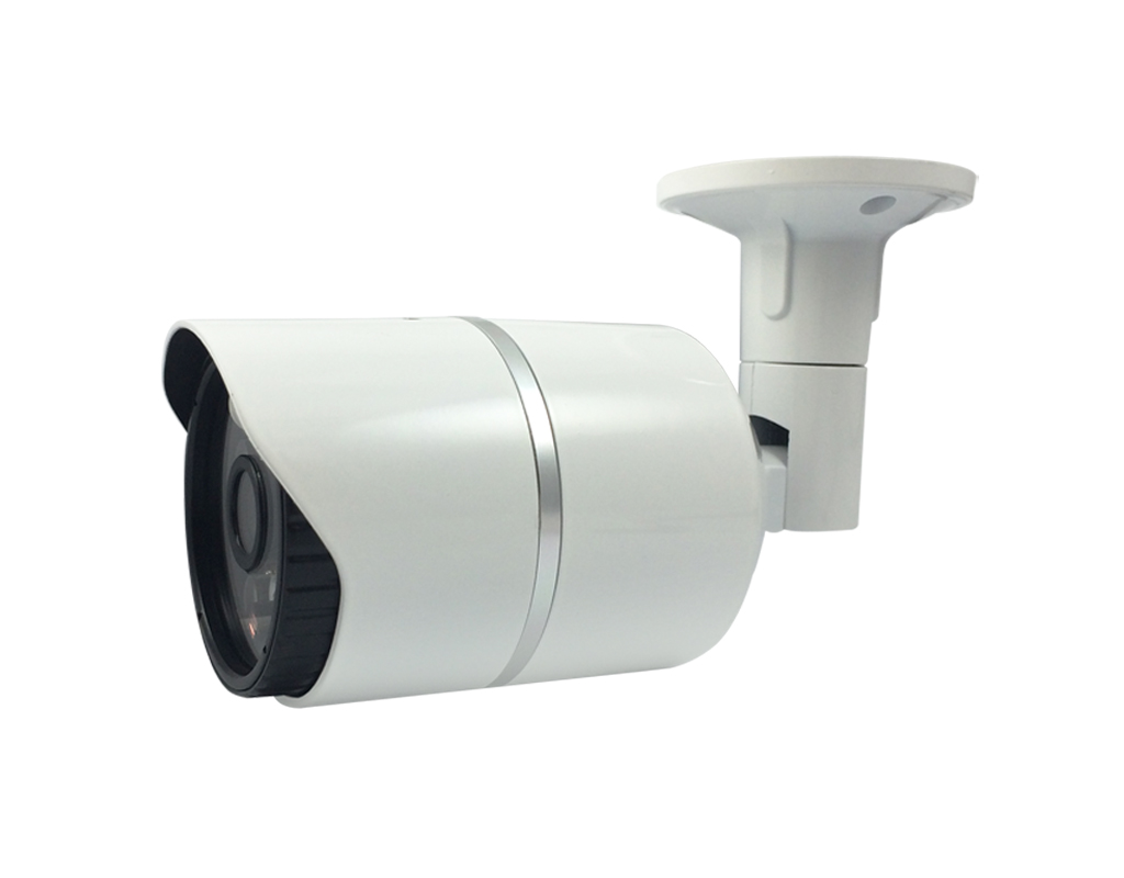 AHD Anti-Crime Smart Dual Light LED Camera‧ HS-AHD-T028C0