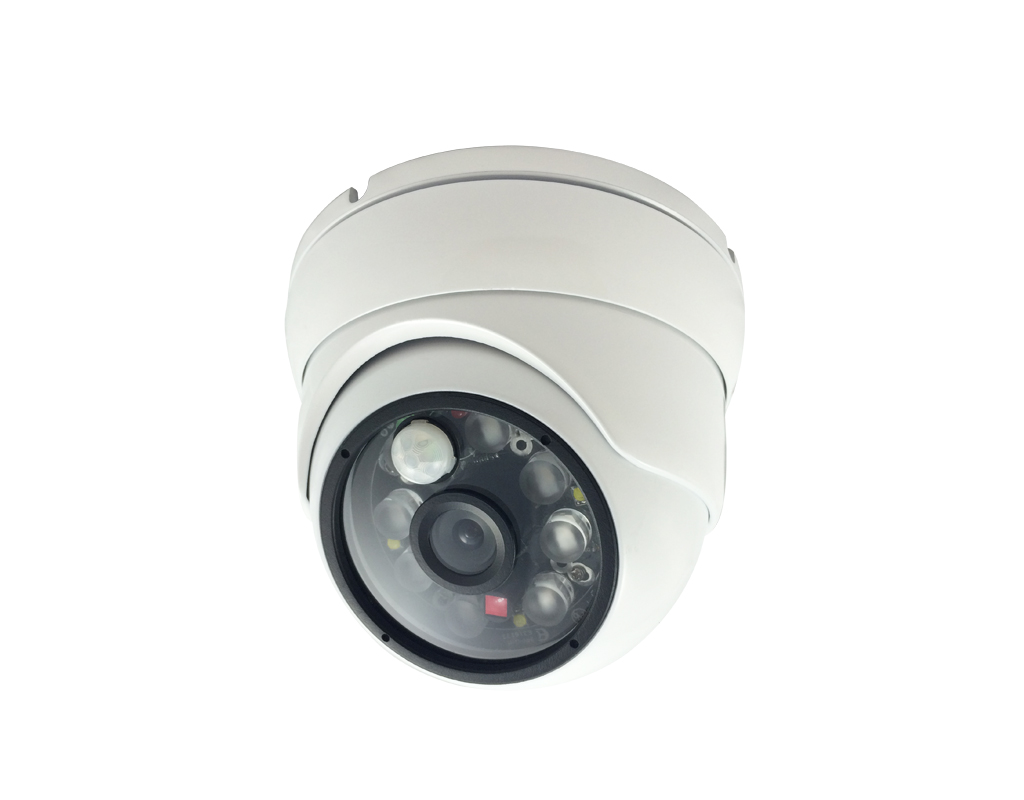 AHD Anti-Crime Smart Dual Light LED Camera ‧ HS-AHD-D002C0-01